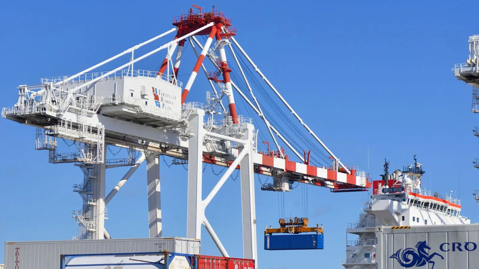 Grúas y contenedores apilados en una terminal portuaria